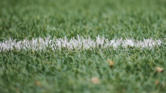 White and Green Grass during Day